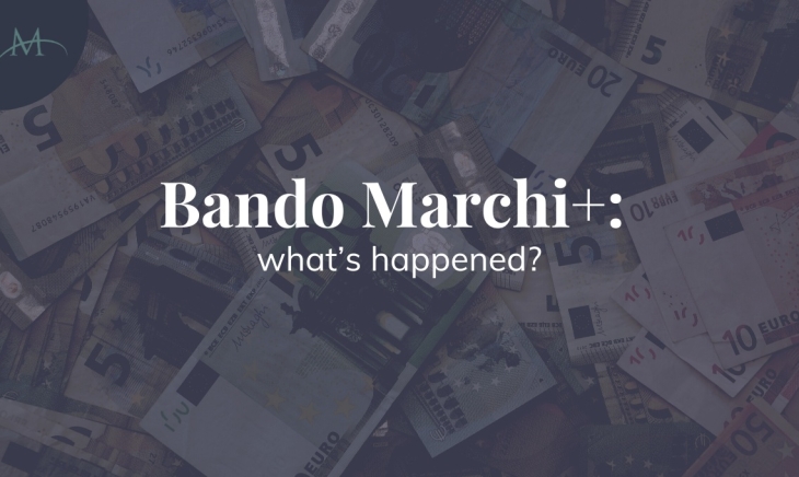 bando marchi più