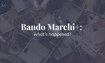 bando marchi più
